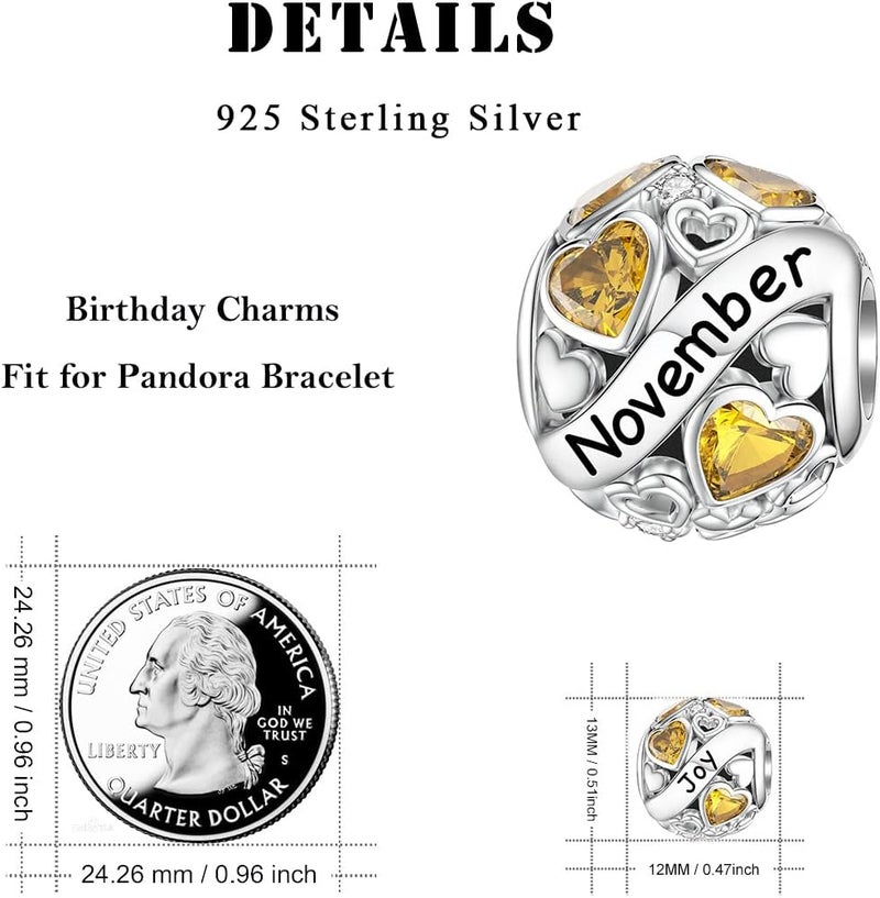 DALARAN Birthstone Charms for Charms Bracelet 925 Sterling Silver Heart Bead Happy Birthday Charms for Women - Image 5